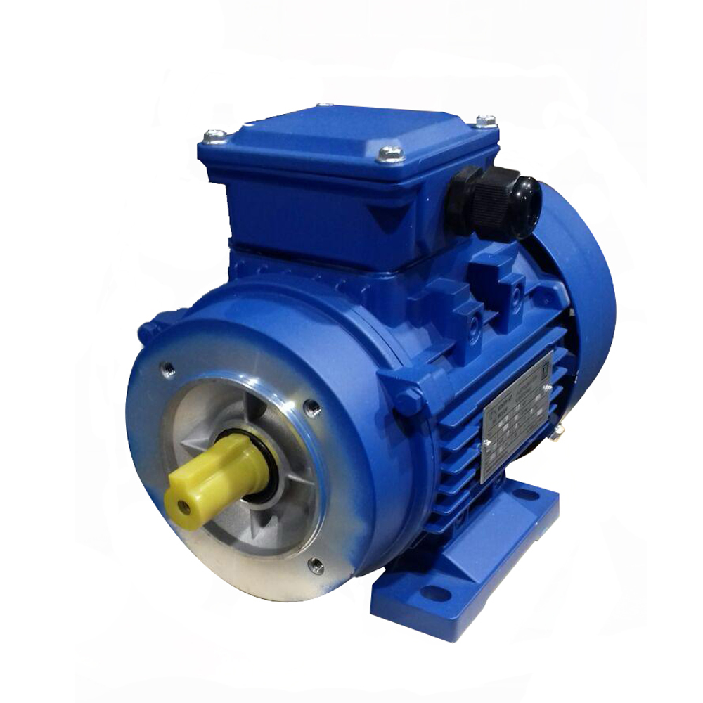 АИС 315 S2 Исполнение IM2081 (лапы+фланец)