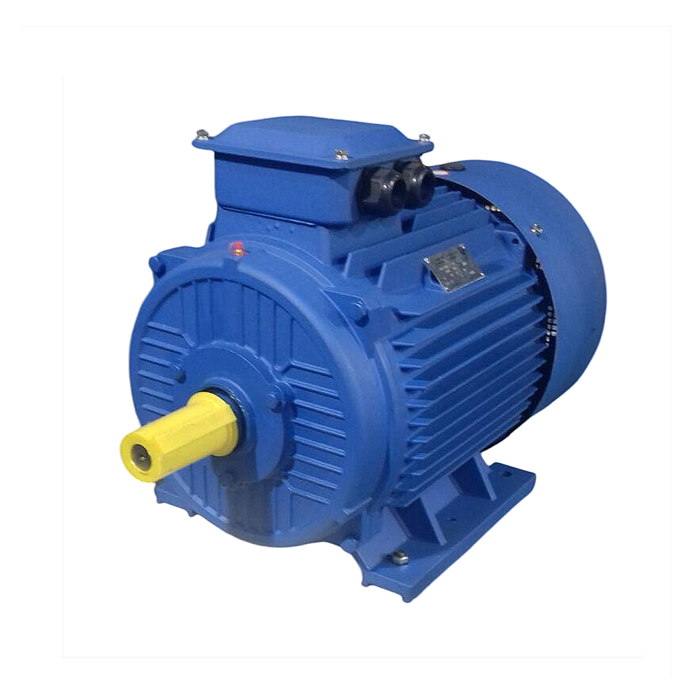 АИС 160 L6 Исполнение IM2181 (малый фланец+лапы)