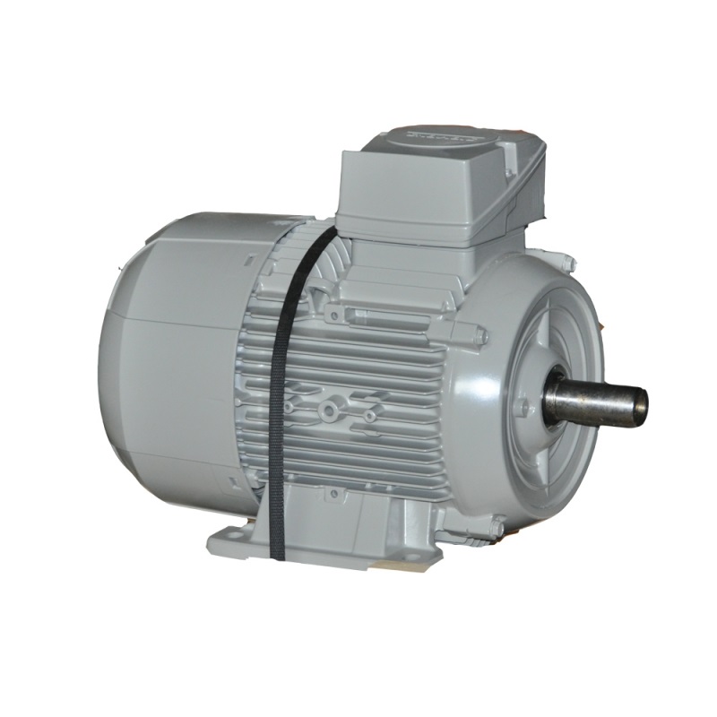1LE1002-1CD22- 2JA4 (лапы+фланец IM B35)
