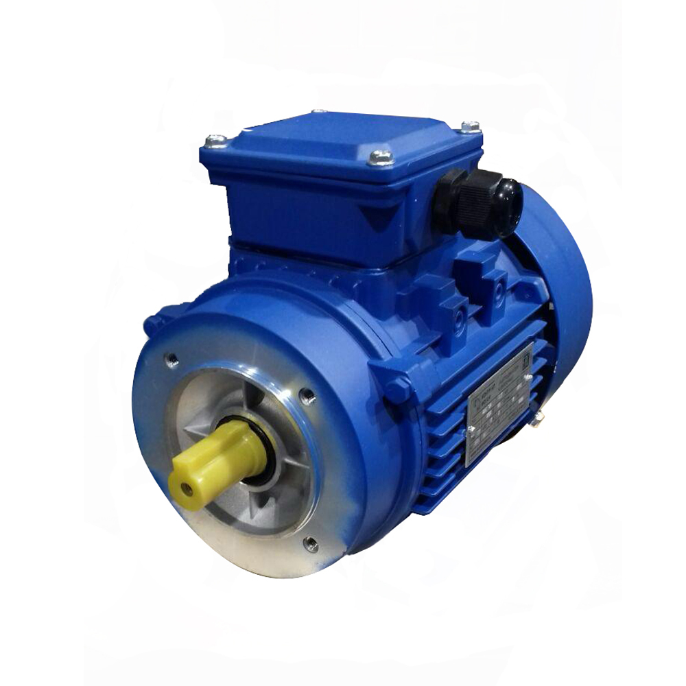 АИС 200 L8 Исполнение IM1081 (лапы)