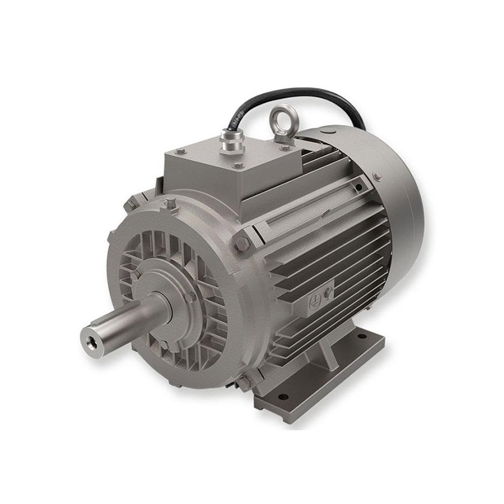 OM1 160 M6 исполнение B14 (B3/B5) (лапы+фланец)