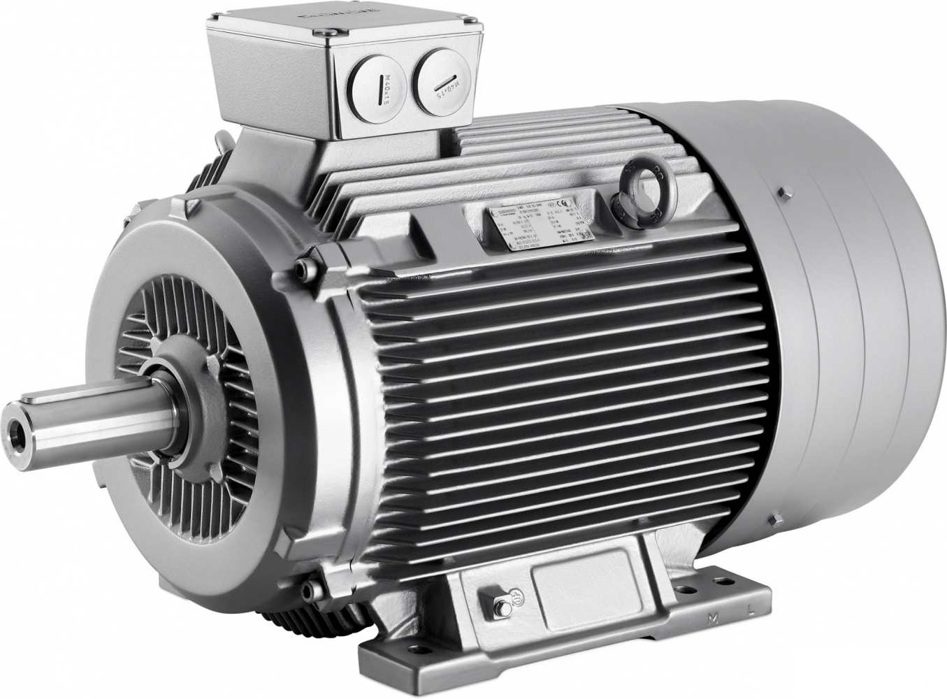 1LG4206-2AA 60 IMB3 (лапы)