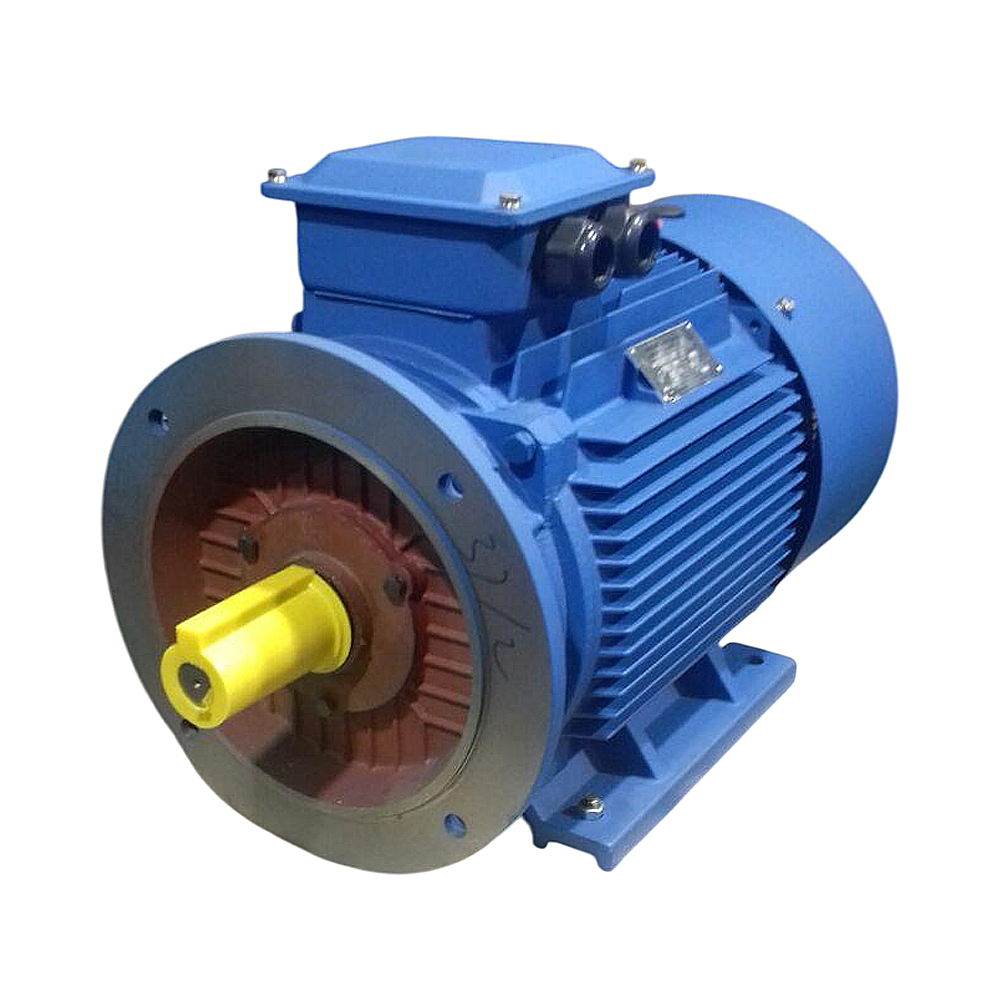 АИС 280 МА2 Исполнение IM2081 (лапы+фланец)